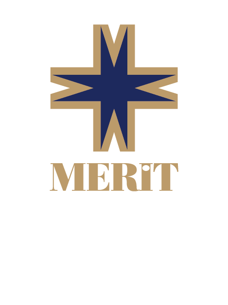 Merit Lefkoşa Casino Logo